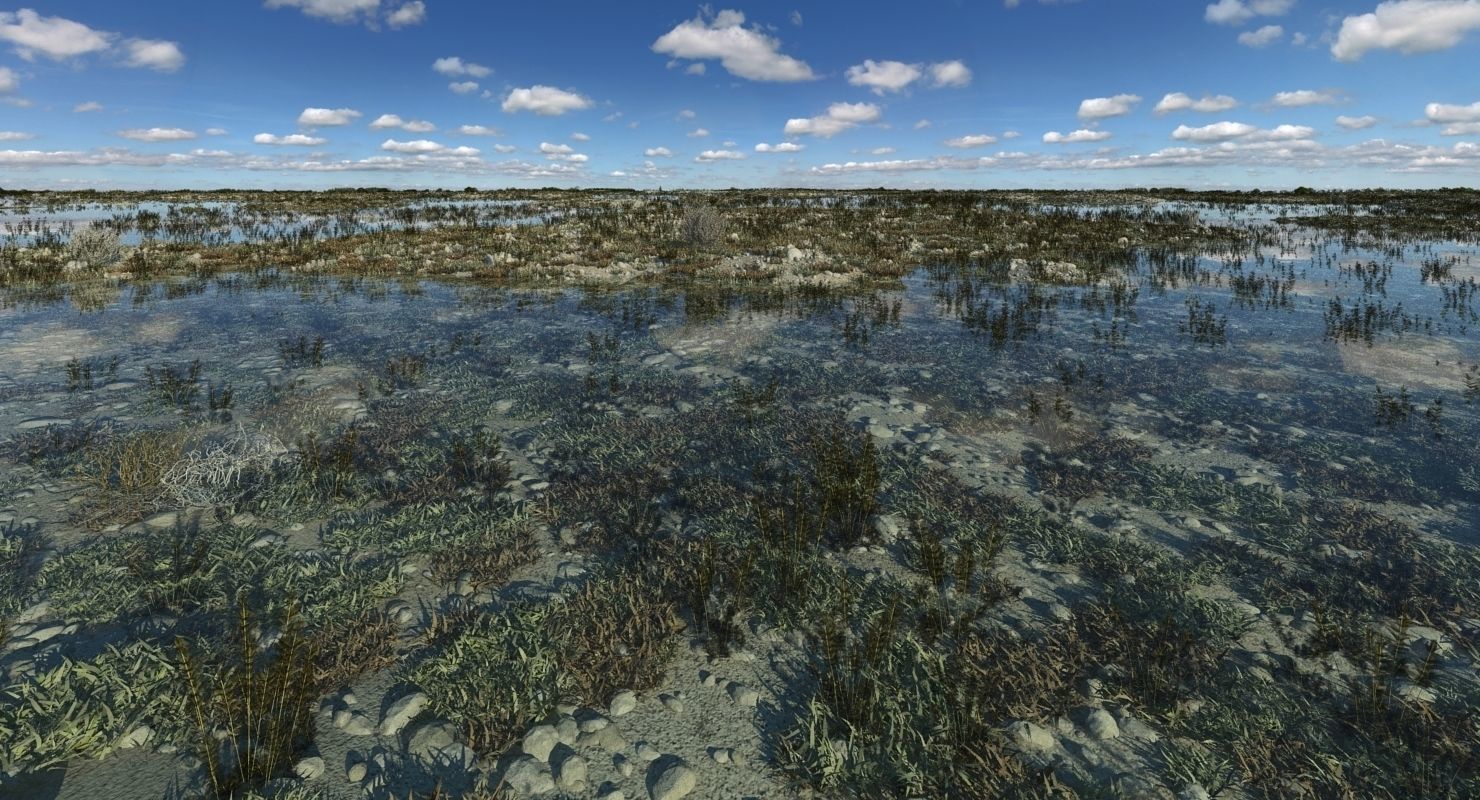 Marshland Swamp 3D model_7