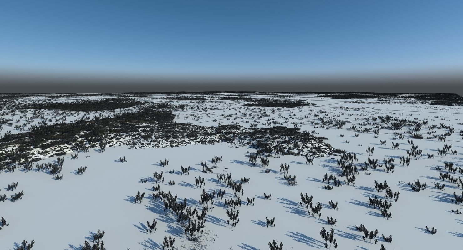 Marshland Swamp 3D model_10