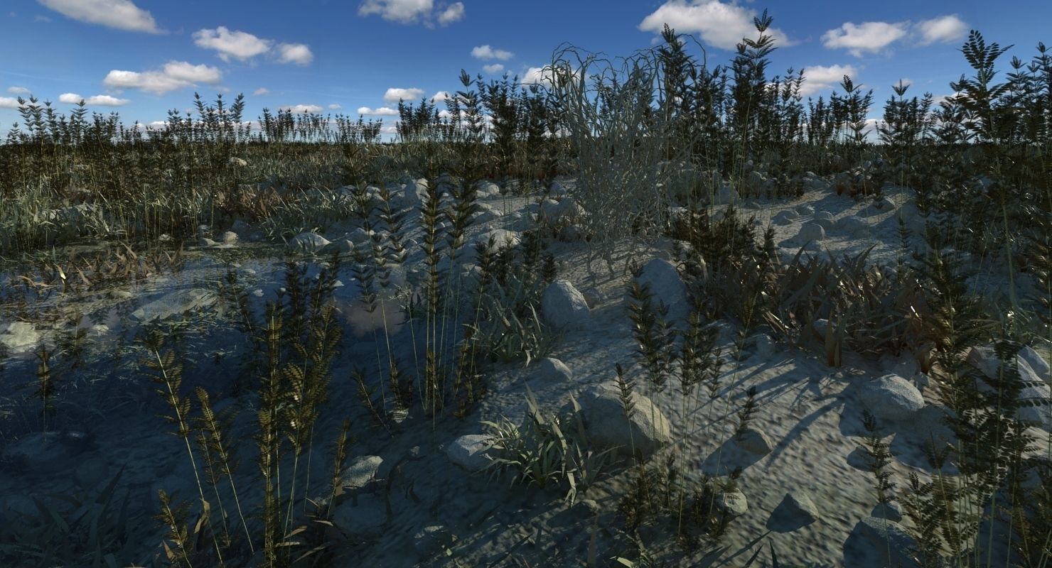 Marshland Swamp 3D model_6
