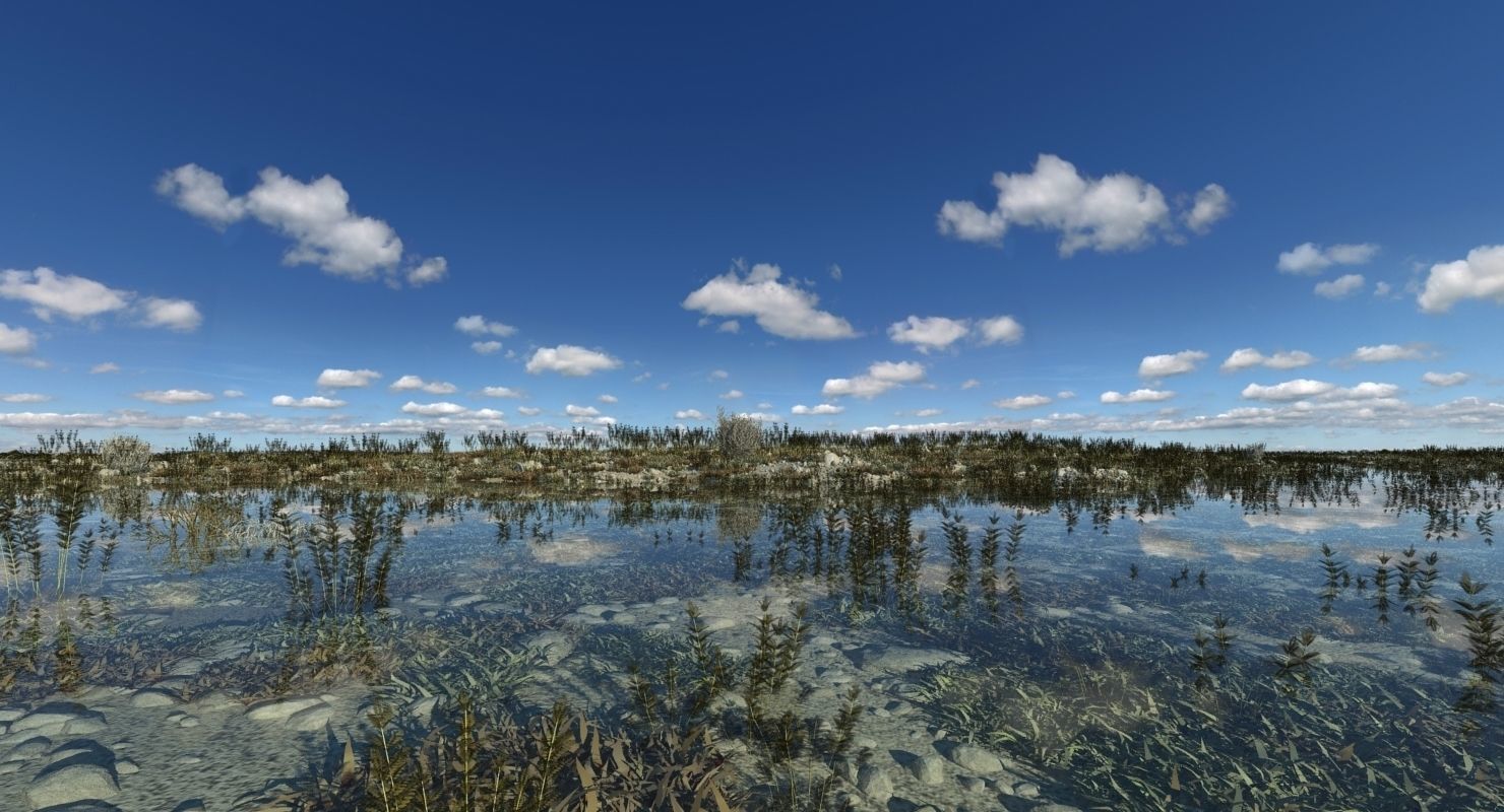 Marshland Swamp 3D model_4