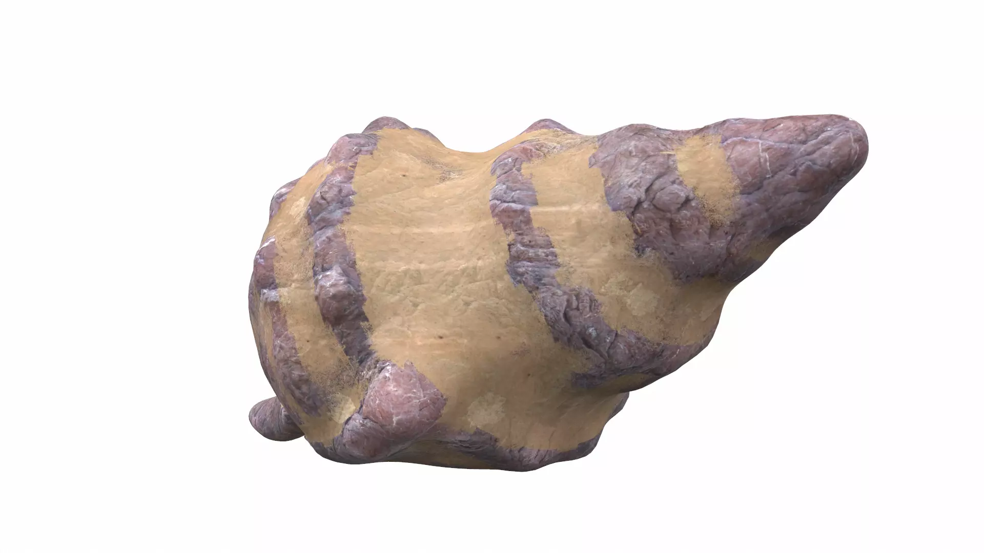 Sea shell frog 6 3D model