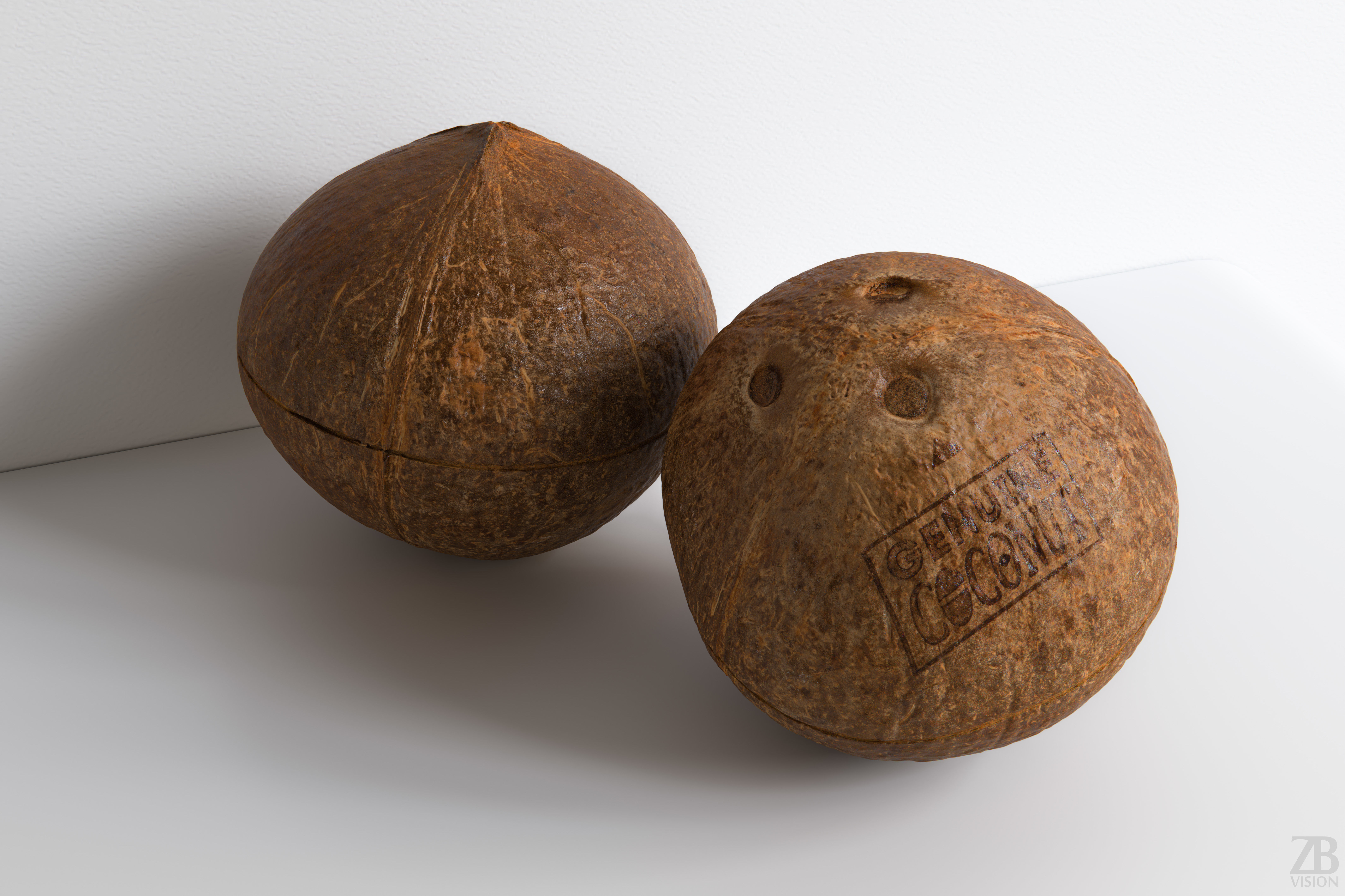 Coconut 3D model_0