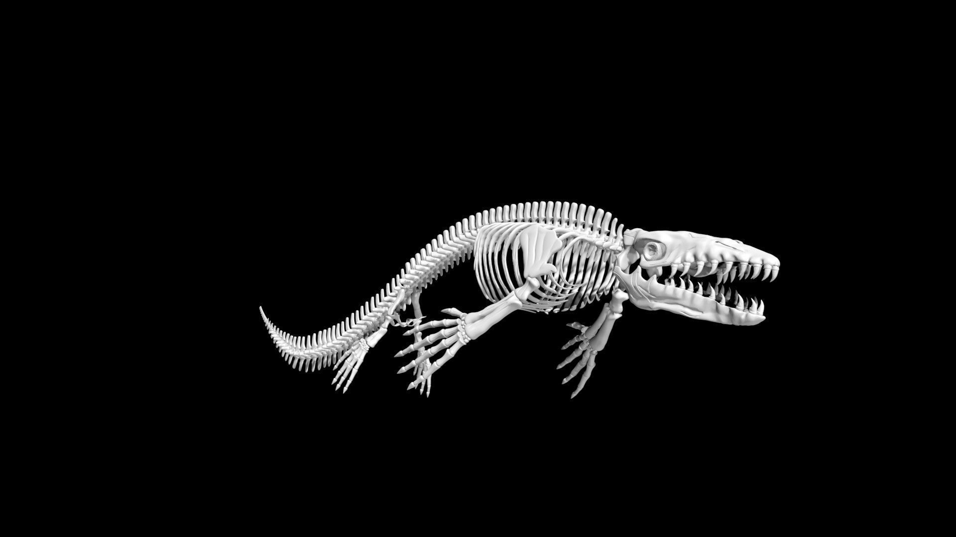 Mosasaurus skeleton Low-poly 3D model_1