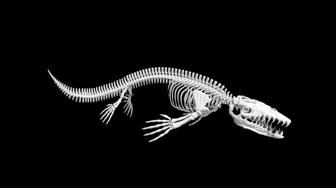 Mosasaurus skeleton Low-poly 3D model