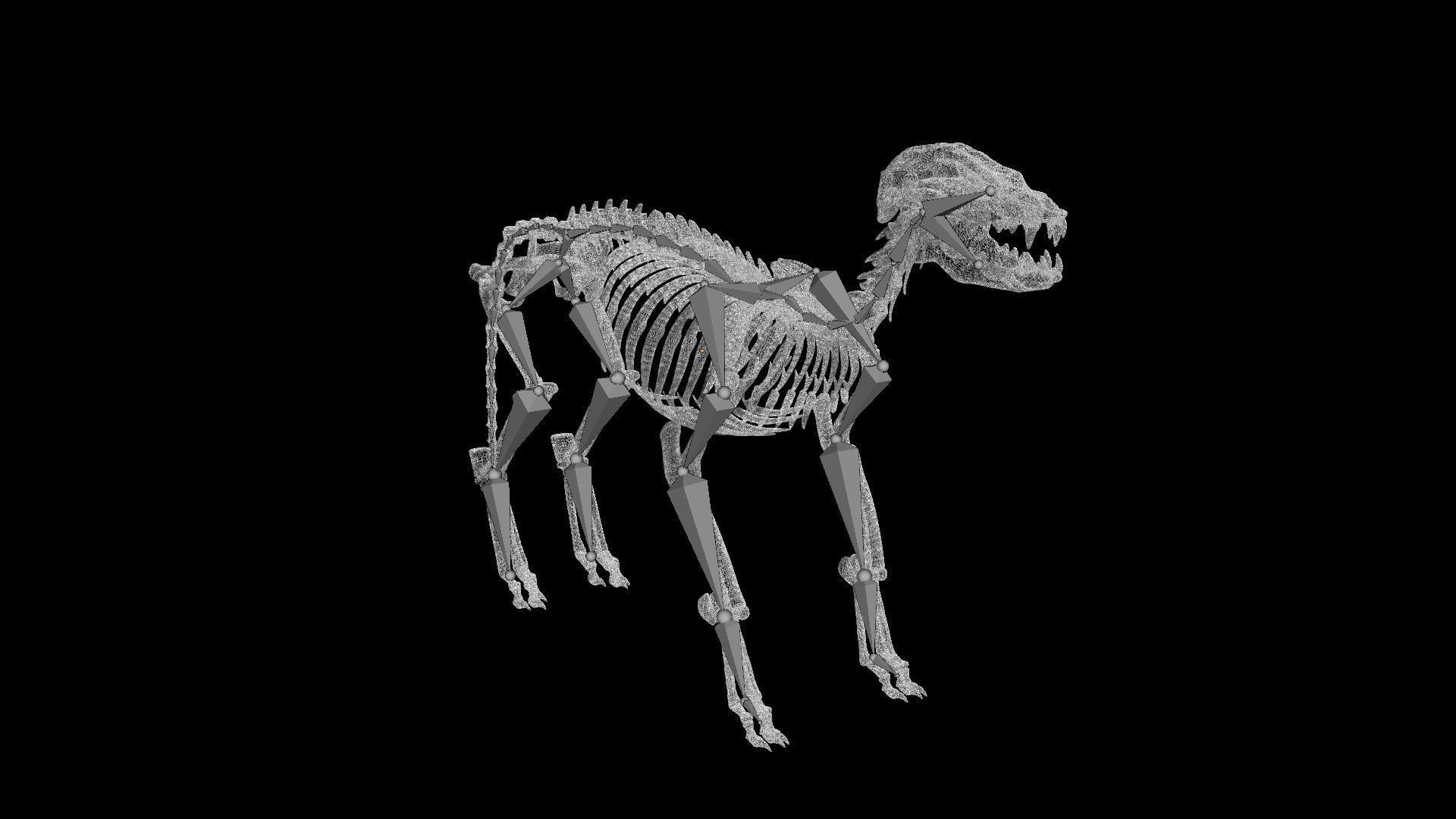 Fox skeleton Low-poly 3D model_7