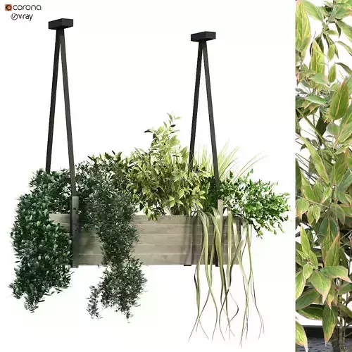 Indoor celling plant box set 197