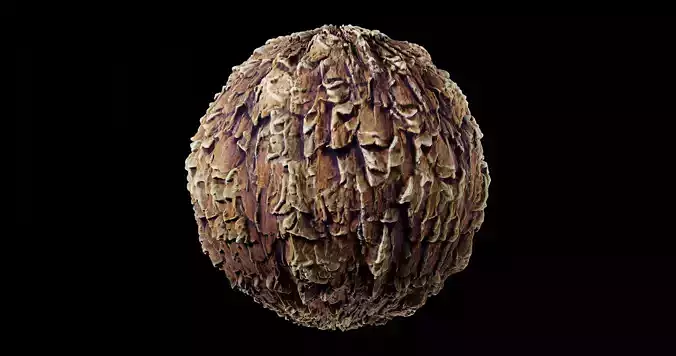 Bark 12 Texture