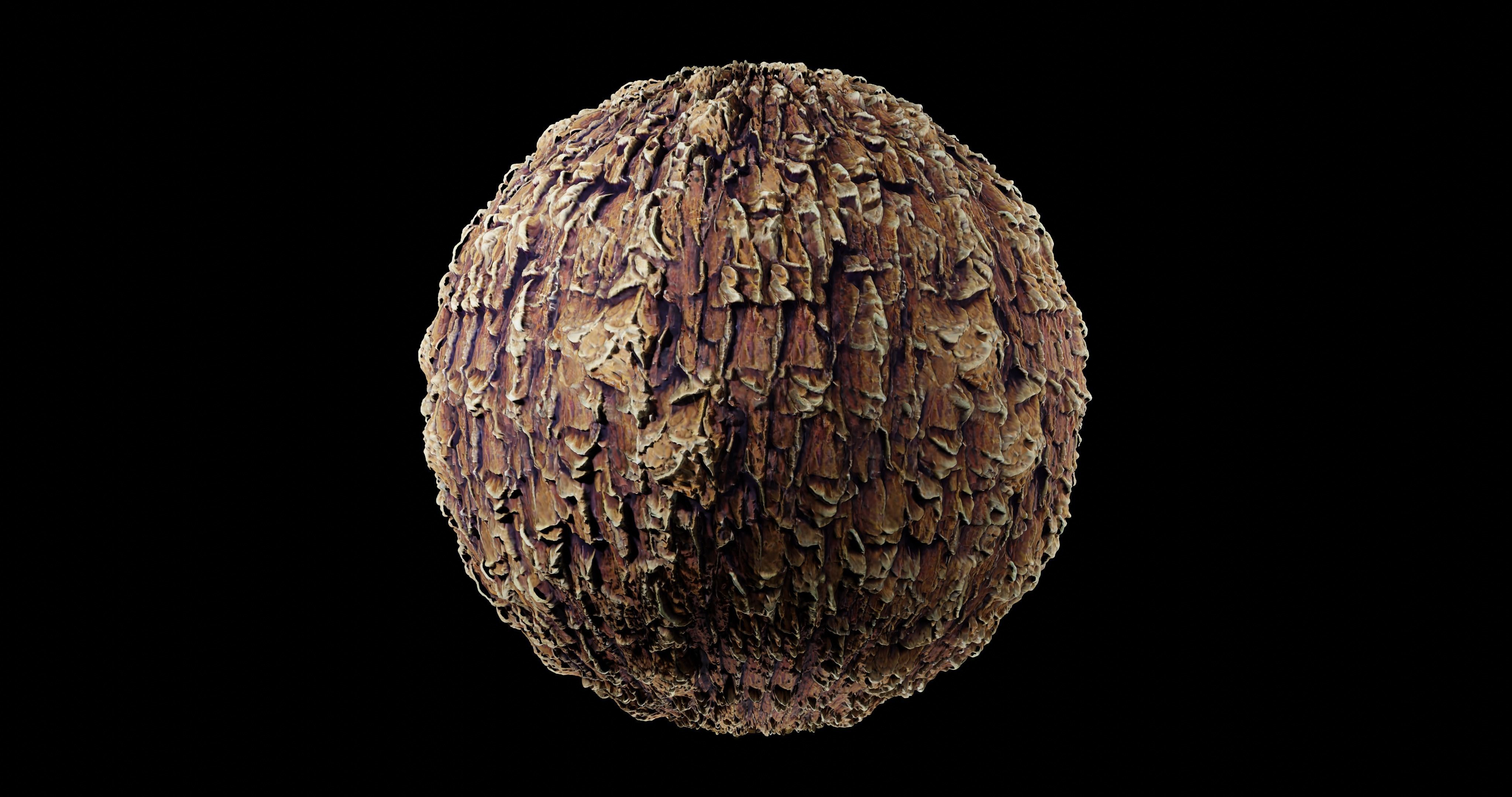 Bark 12 Texture_2