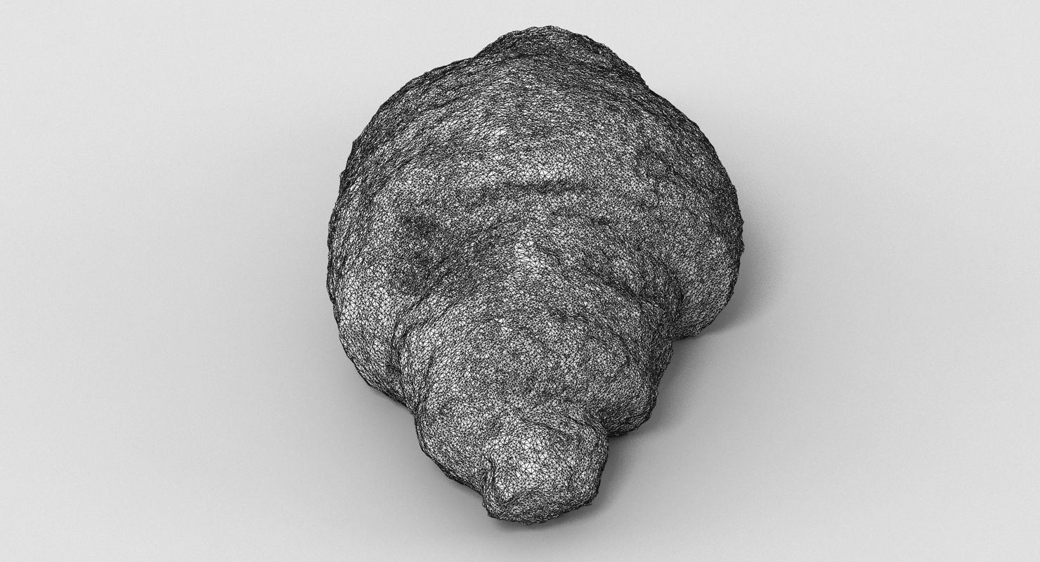 Pastry Collection cinnamon roll 3D model_40