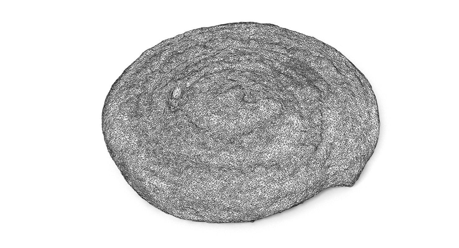 Pastry Collection cinnamon roll 3D model_21