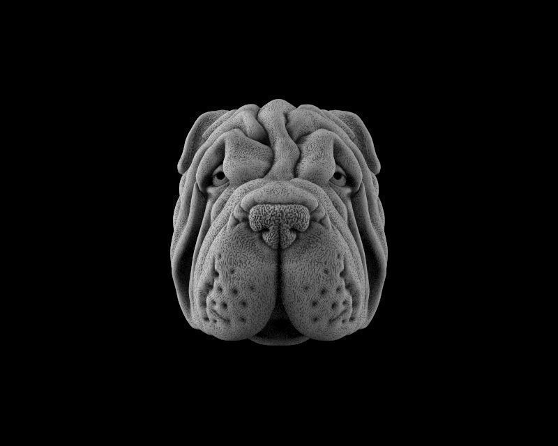 Head dog 3d model for 3d printing 3D print model 3D print model_2