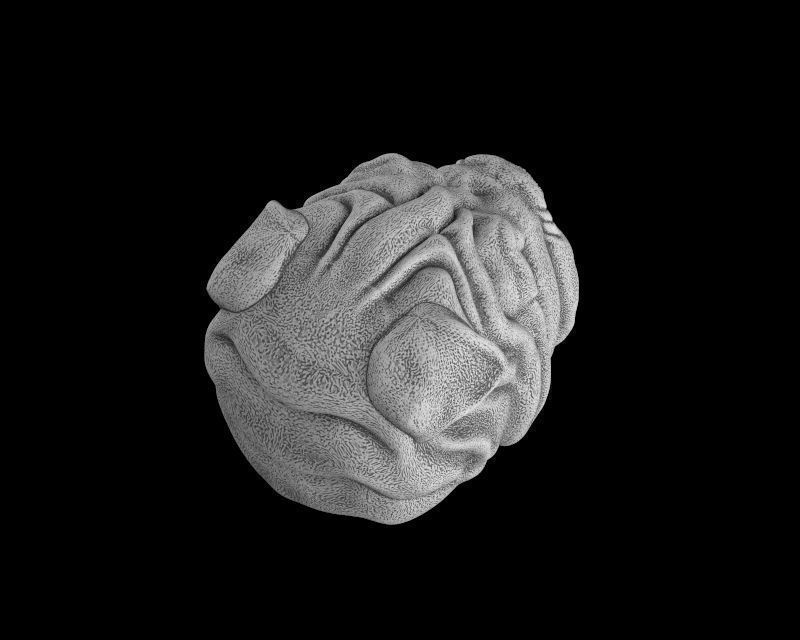 Head dog 3d model for 3d printing 3D print model 3D print model_6