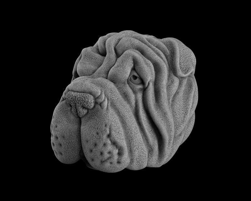 Head dog 3d model for 3d printing 3D print model 3D print model_8
