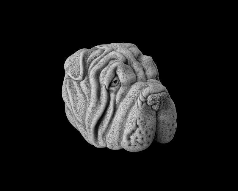 Head dog 3d model for 3d printing 3D print model 3D print model_1