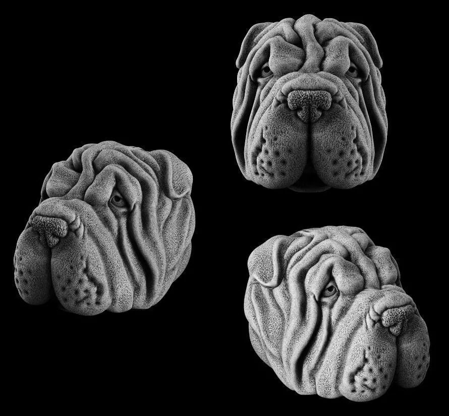 Head dog 3d model for 3d printing 3D print model 3D print model_0