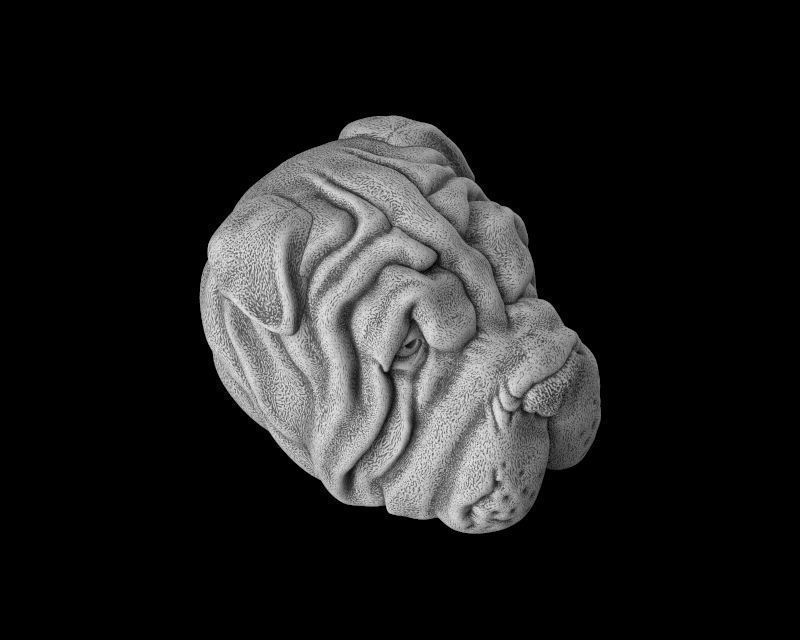 Head dog 3d model for 3d printing 3D print model 3D print model_7