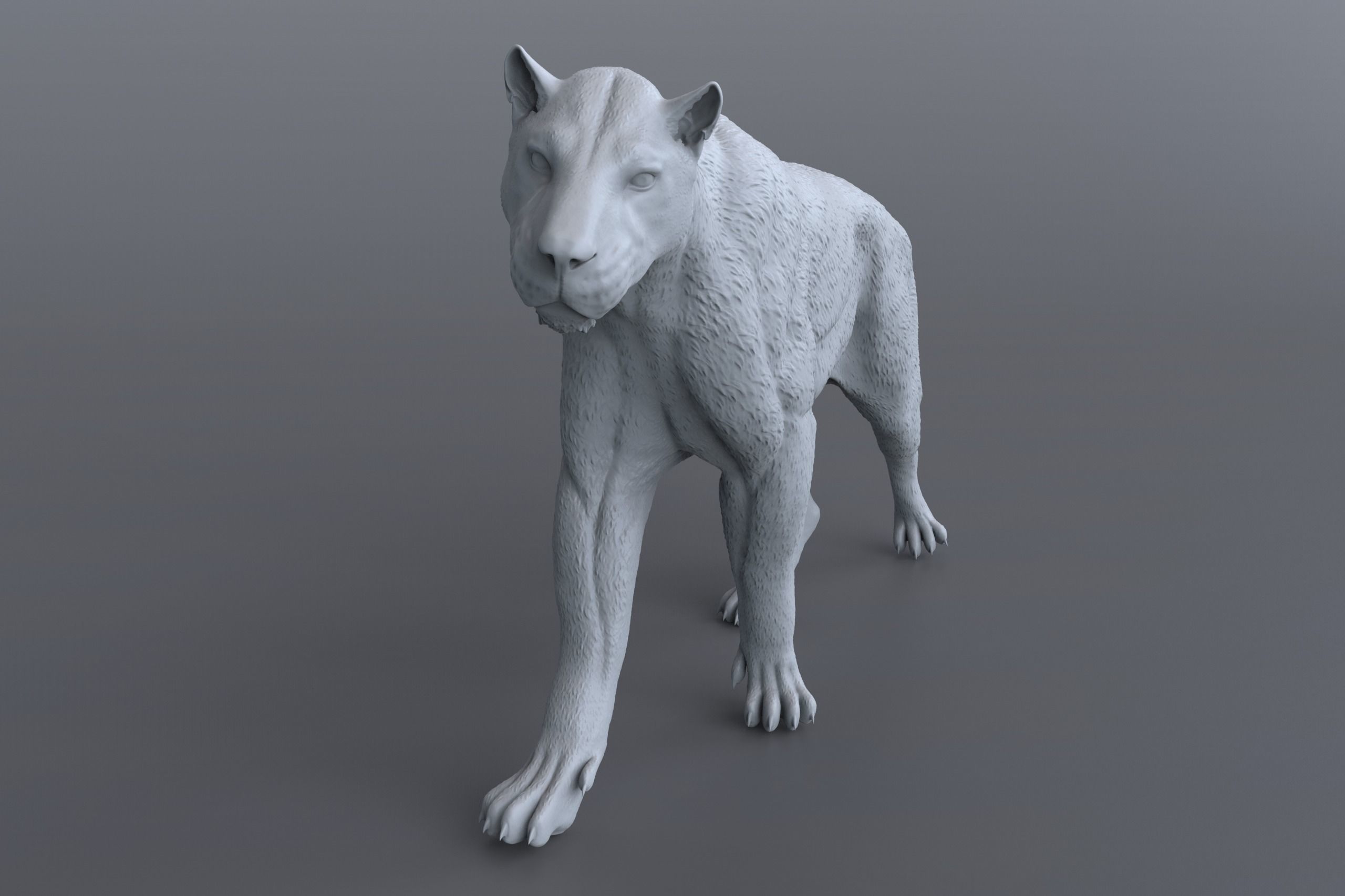 Homotherium   3D print model_5