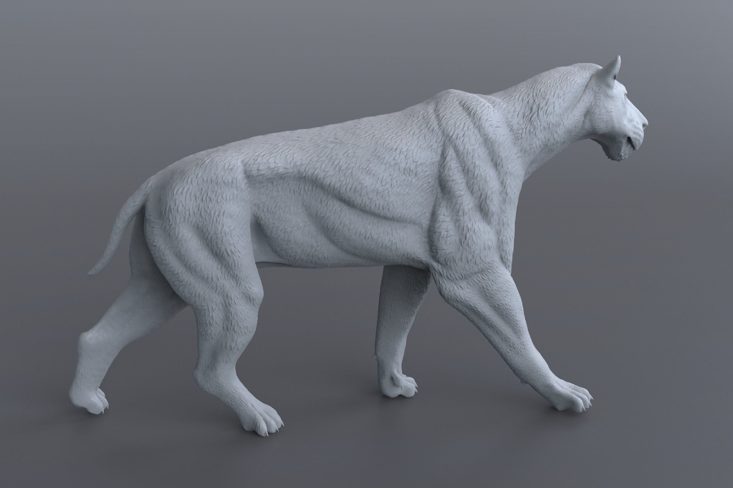 Homotherium   3D print model_11
