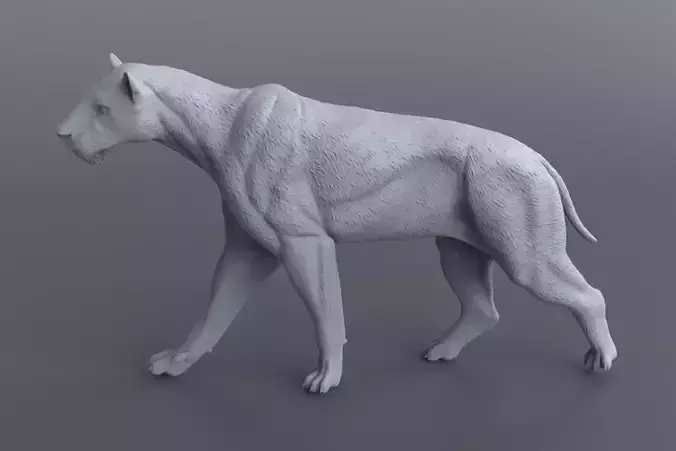 Homotherium   3D print model