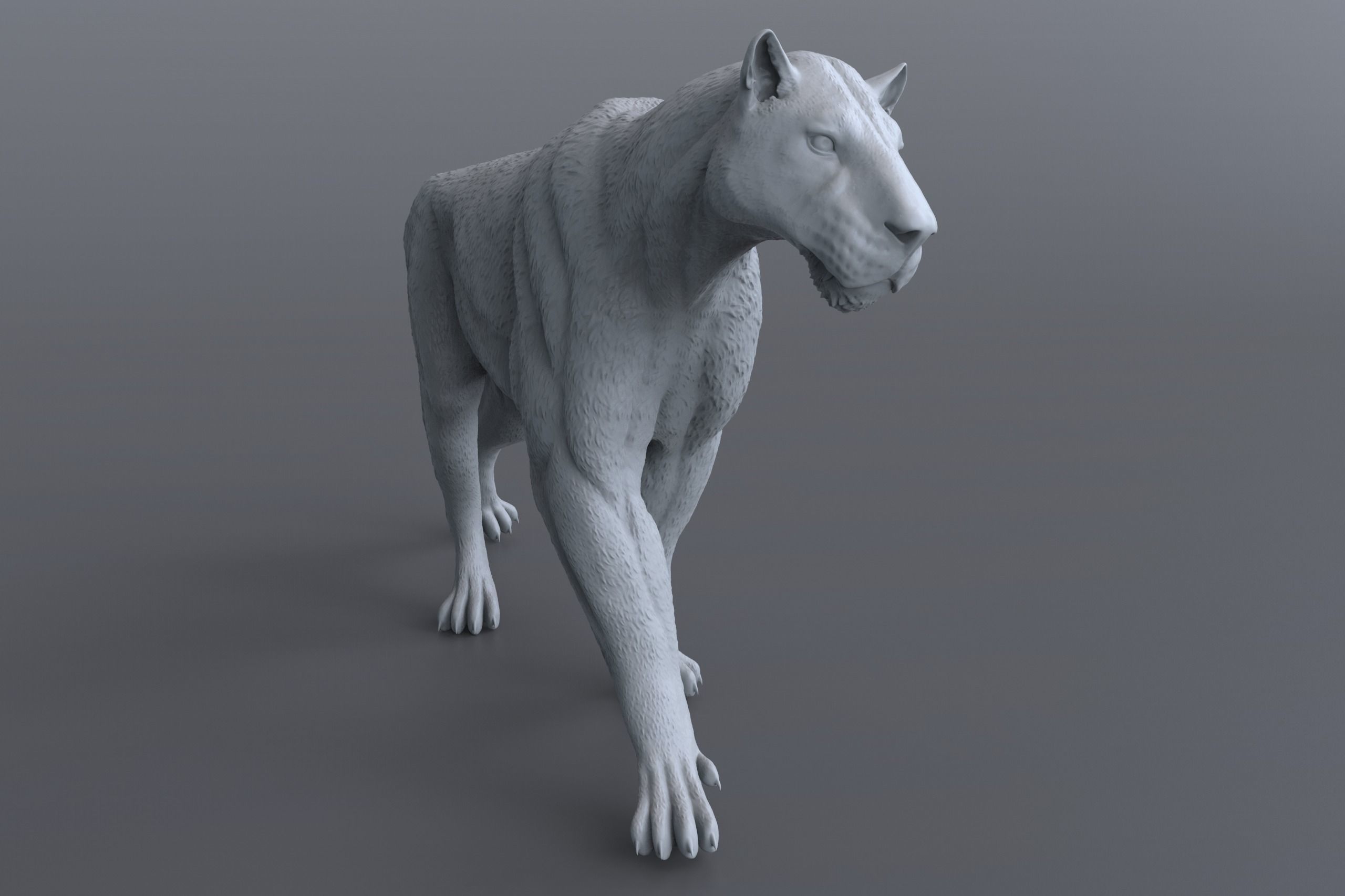 Homotherium   3D print model_8