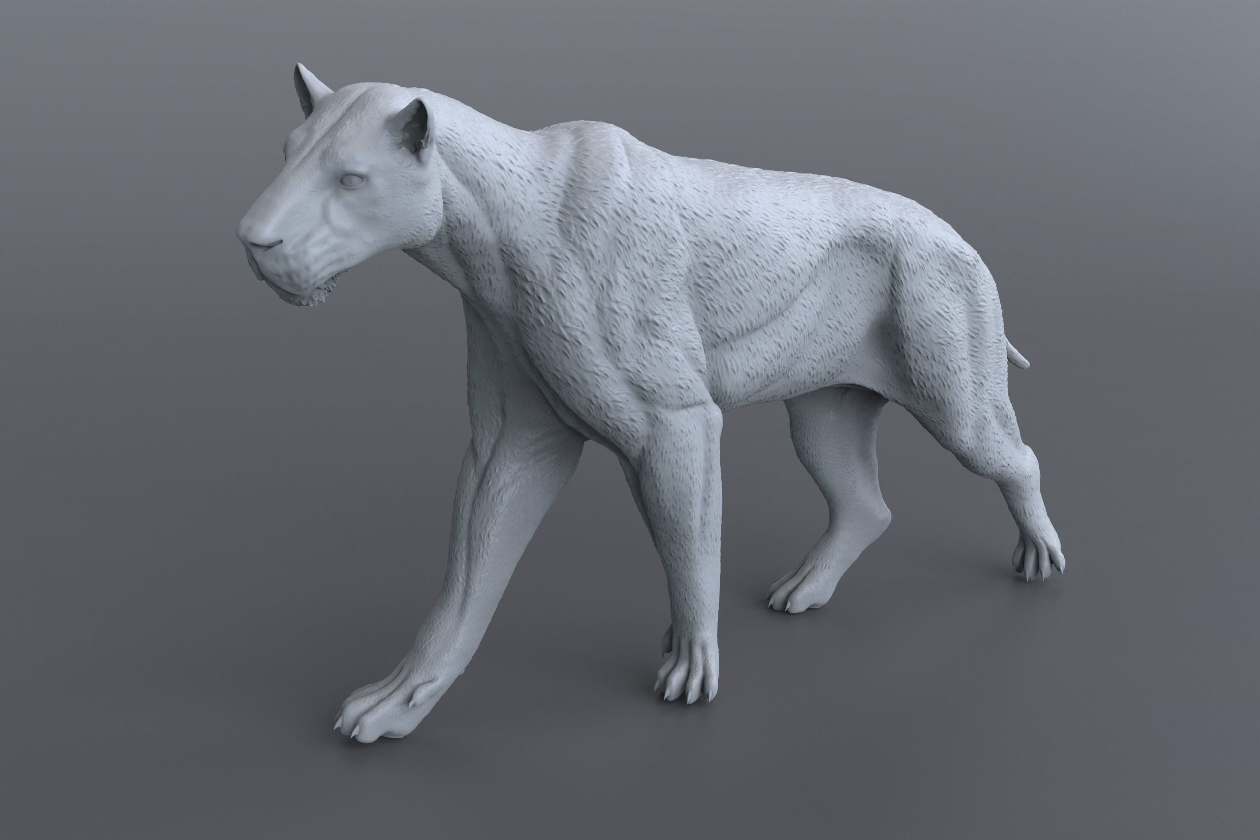 Homotherium   3D print model_3
