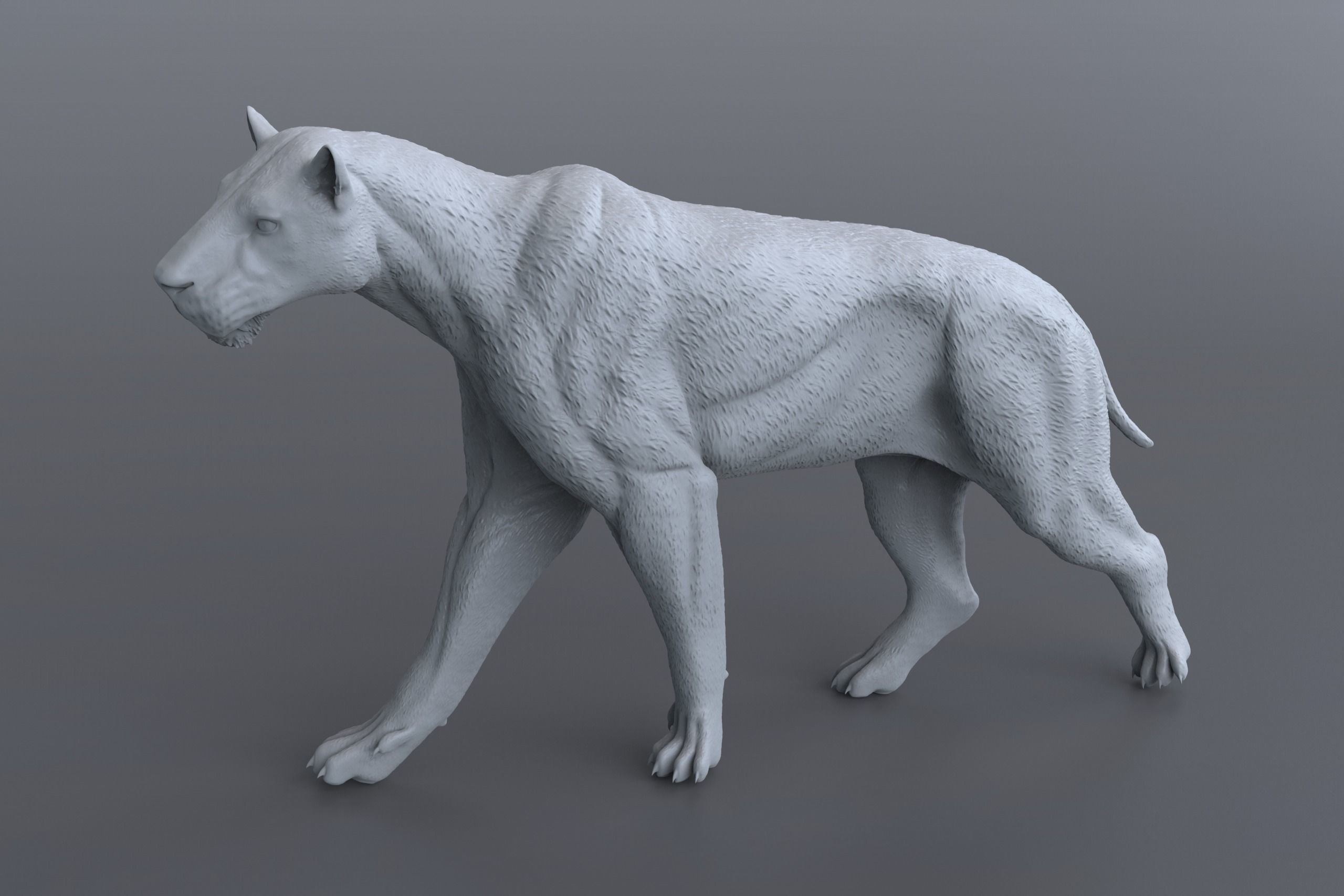 Homotherium   3D print model_2