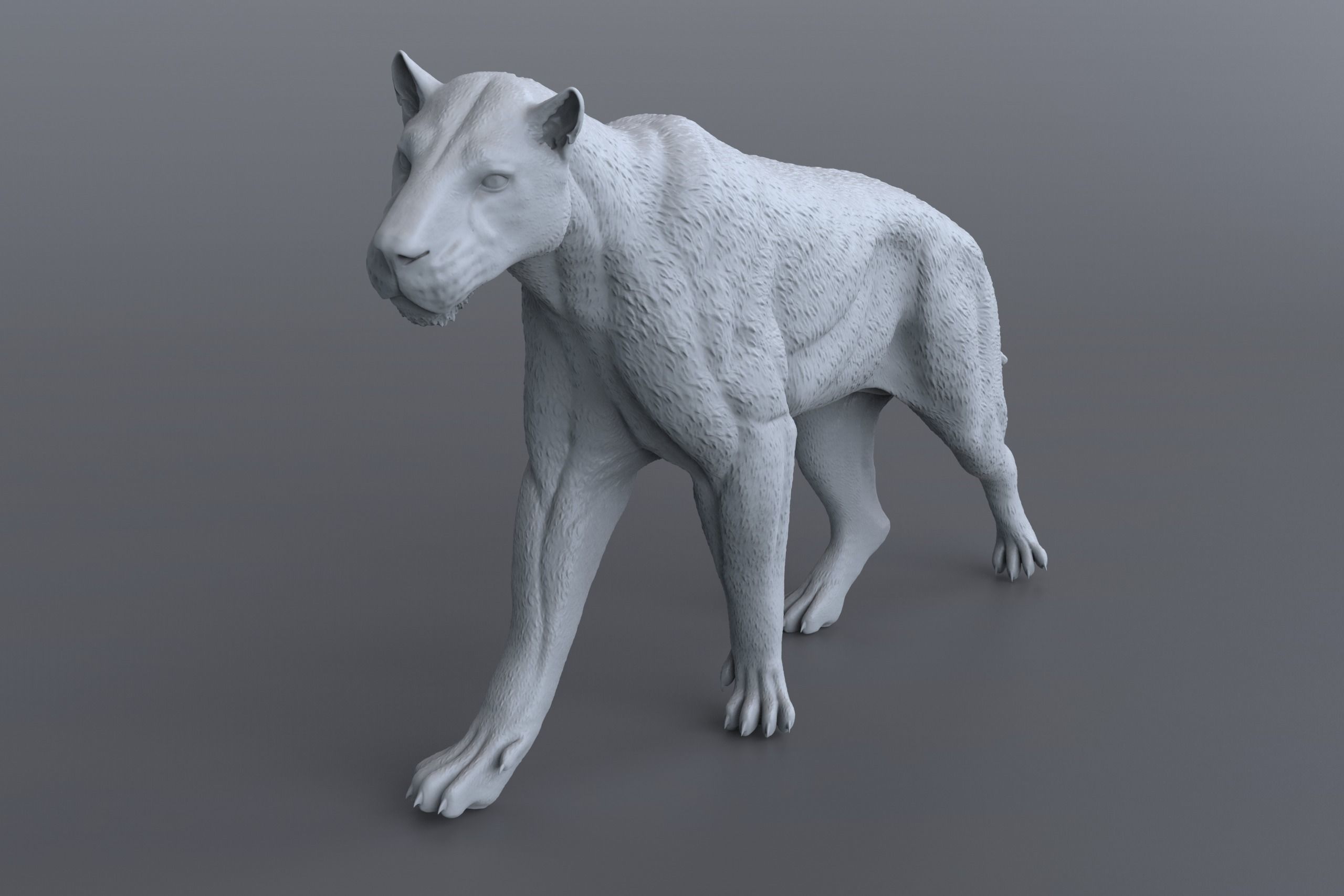 Homotherium   3D print model_4