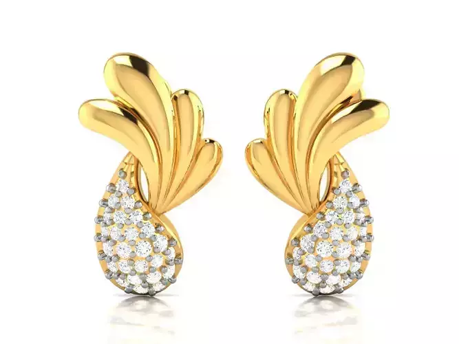 Women Earrings 