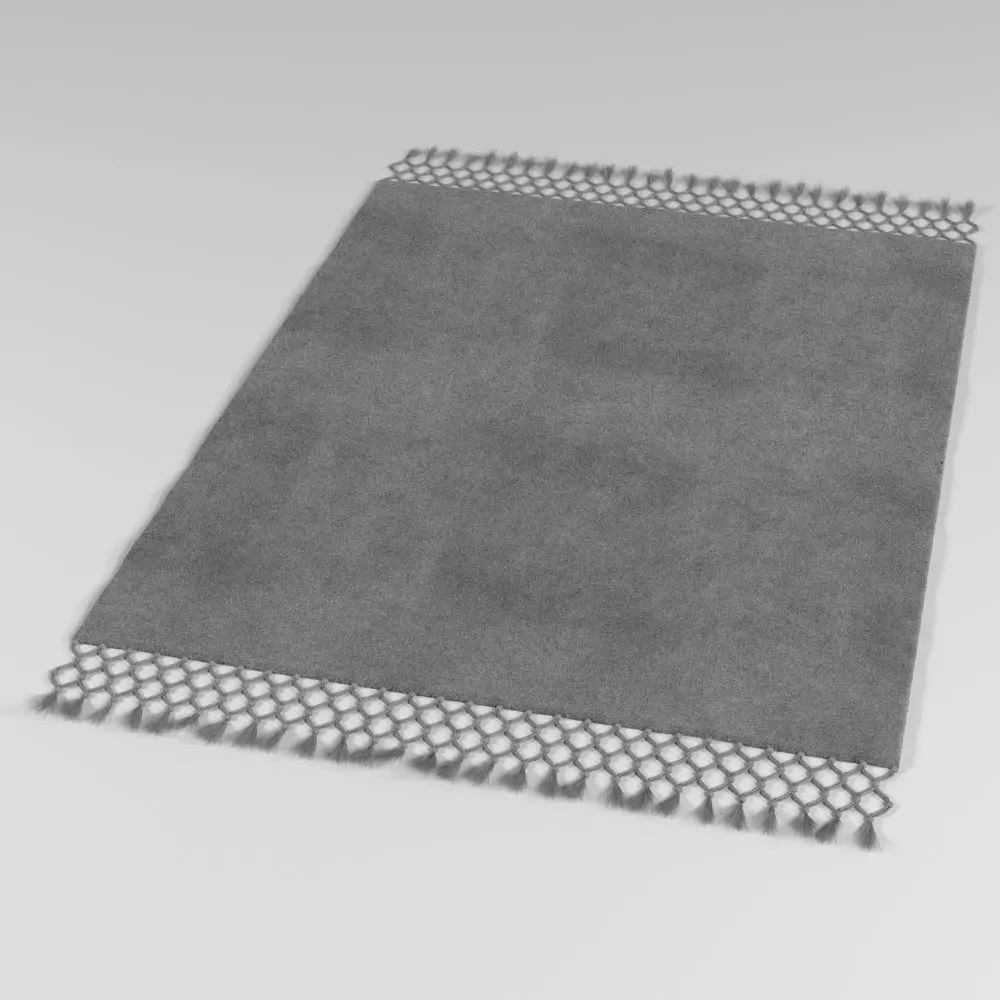 Baxter Rug 3D model_0