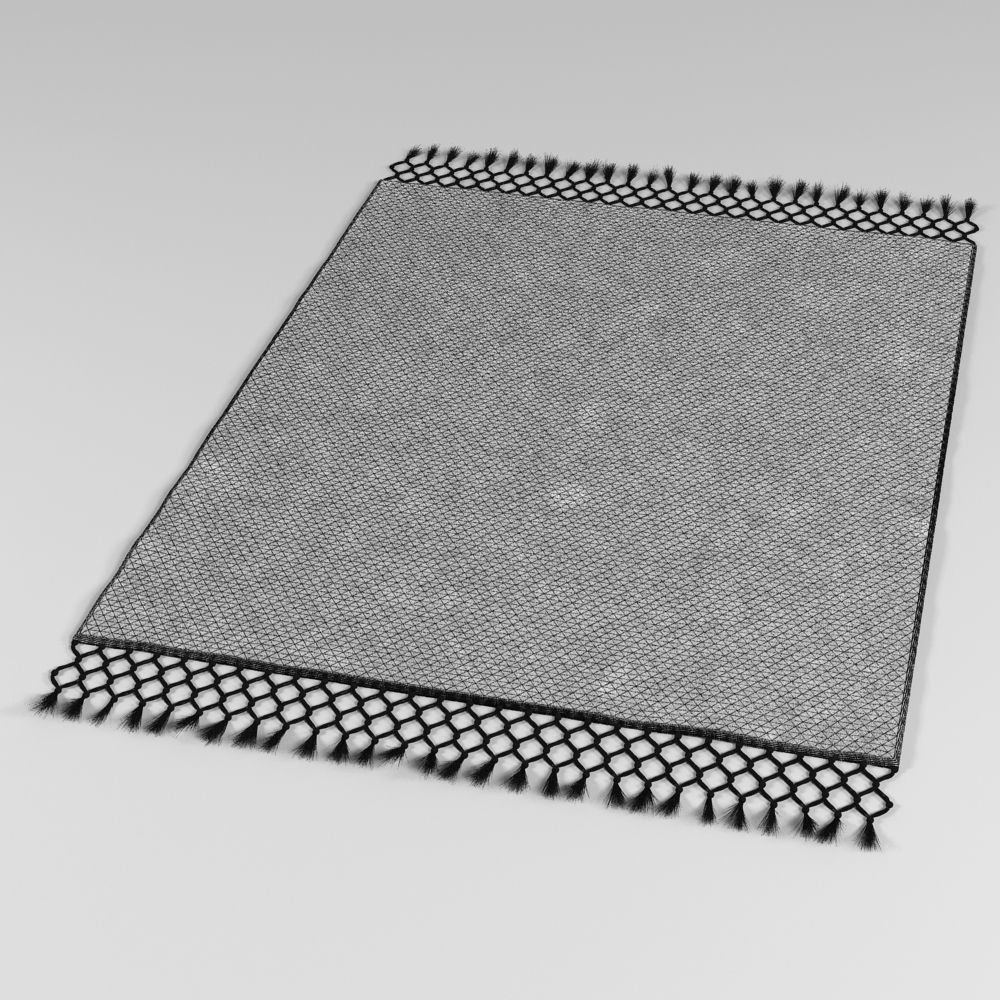 Baxter Rug 3D model_5