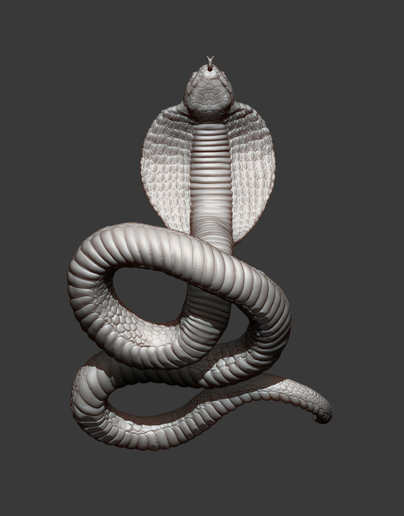 cobra 3D print model snake 3D print model_10