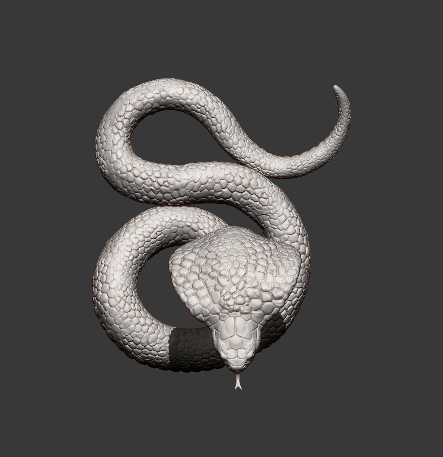 cobra 3D print model snake 3D print model_6
