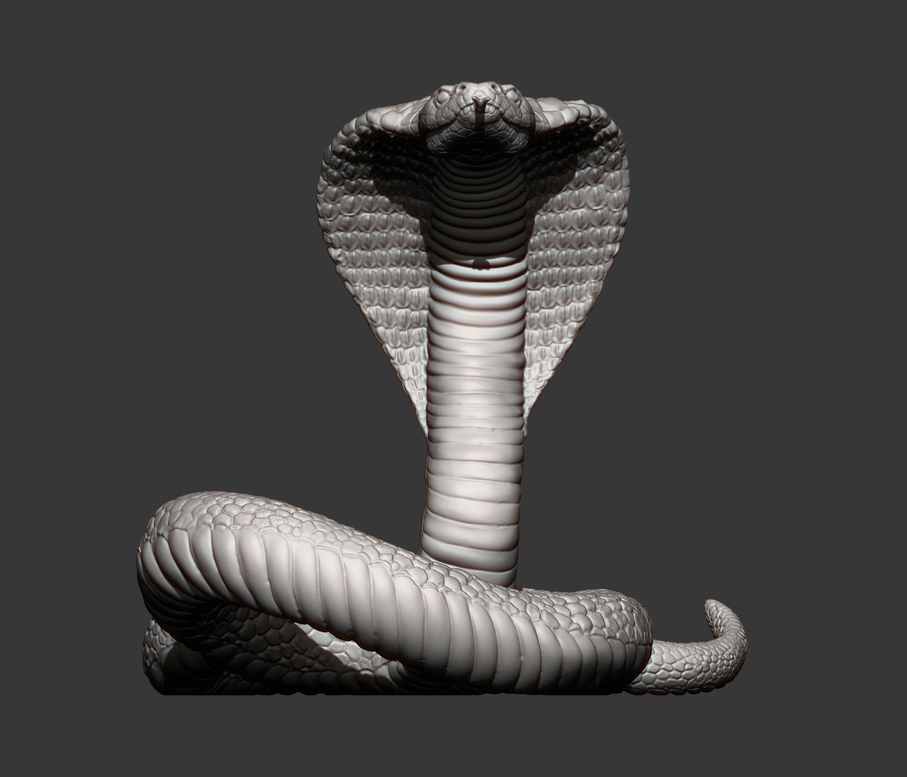 cobra 3D print model snake 3D print model_7