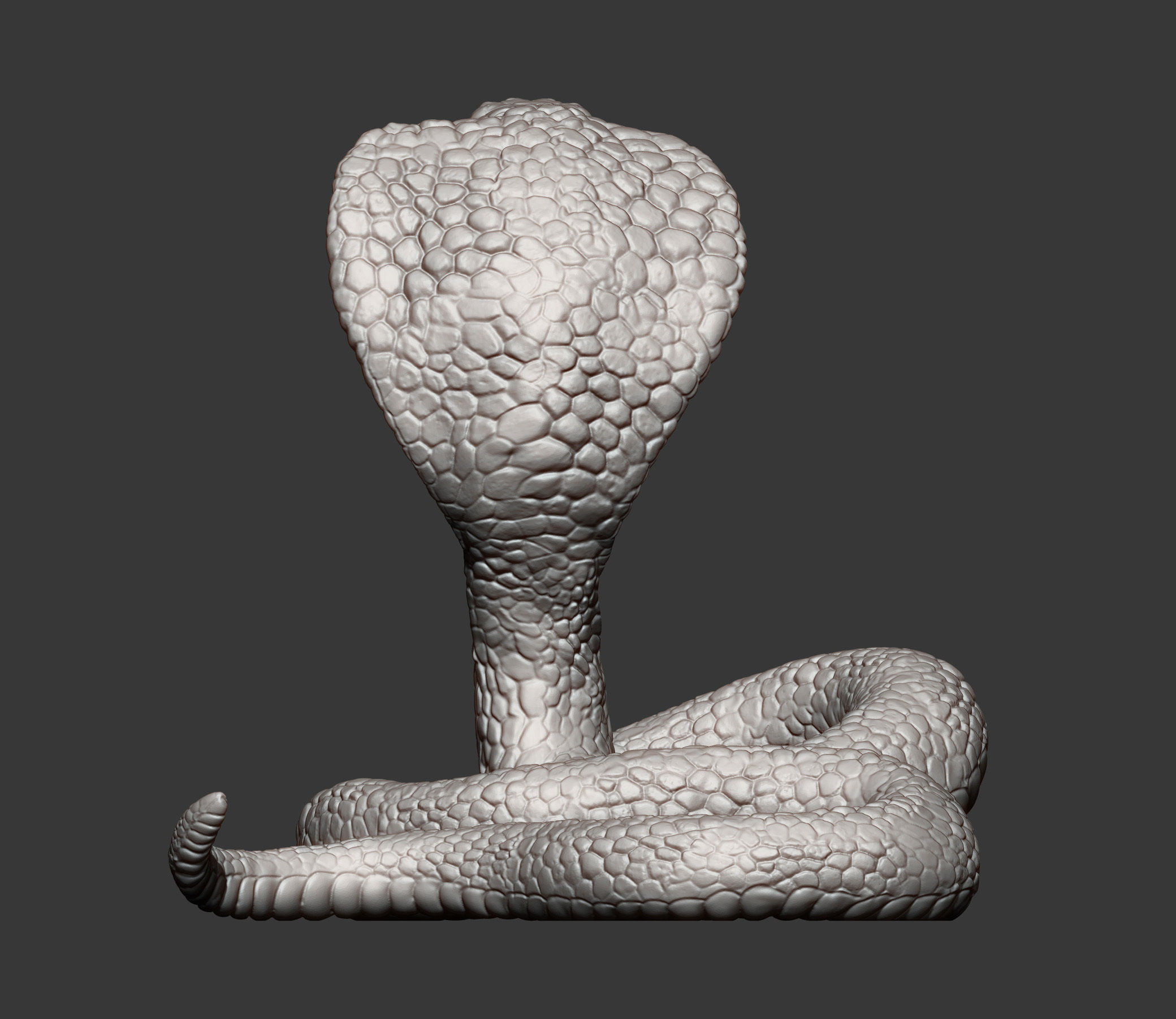 cobra 3D print model snake 3D print model_8