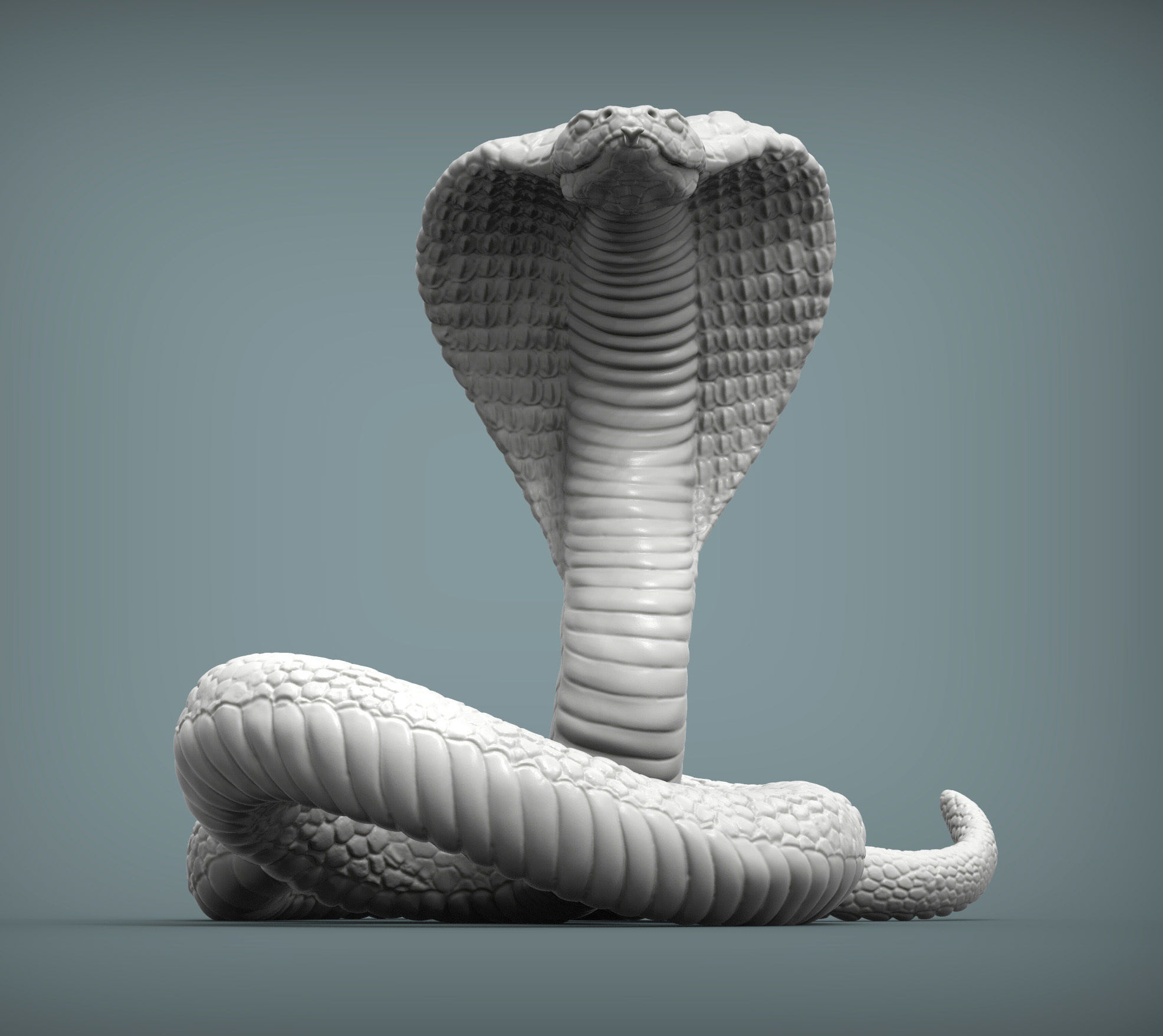 cobra 3D print model snake 3D print model_1