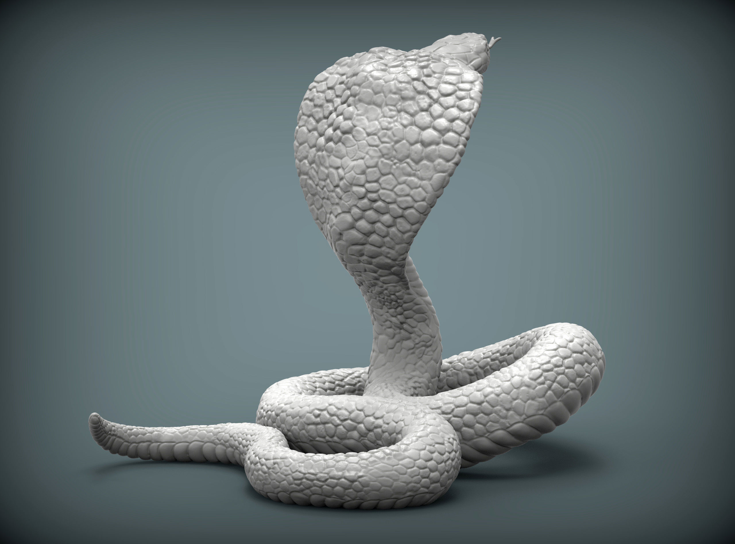 cobra 3D print model snake 3D print model_3