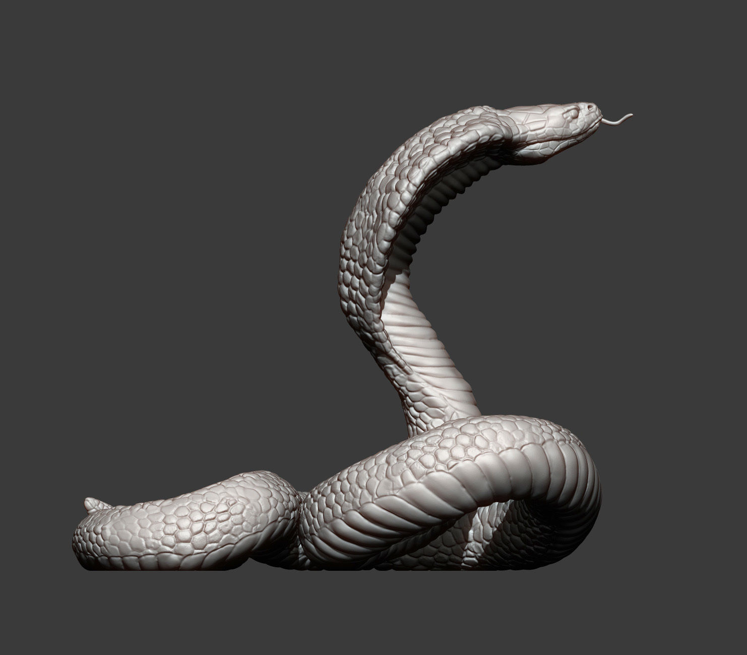 cobra 3D print model snake 3D print model_9