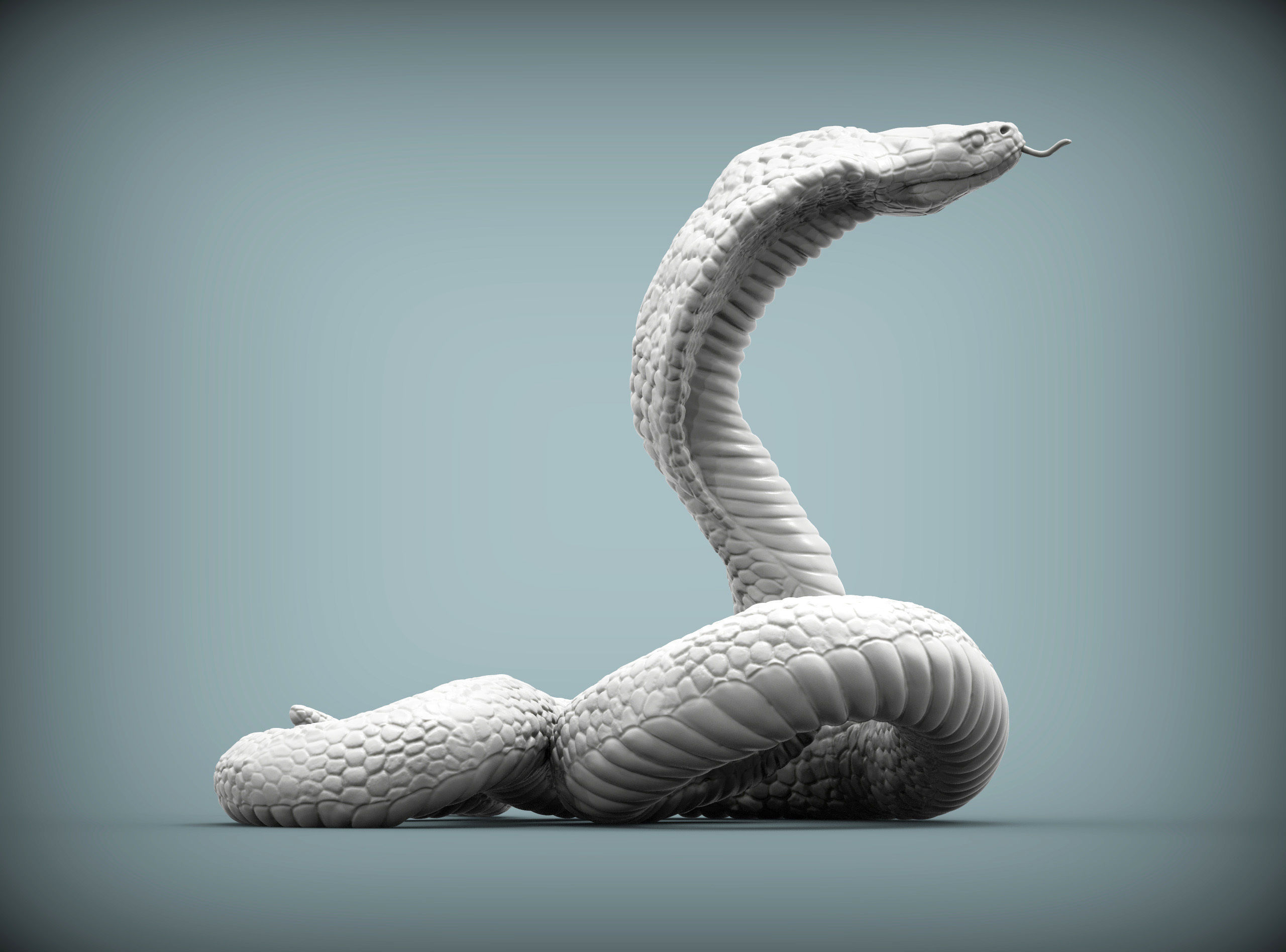 cobra 3D print model snake 3D print model_4