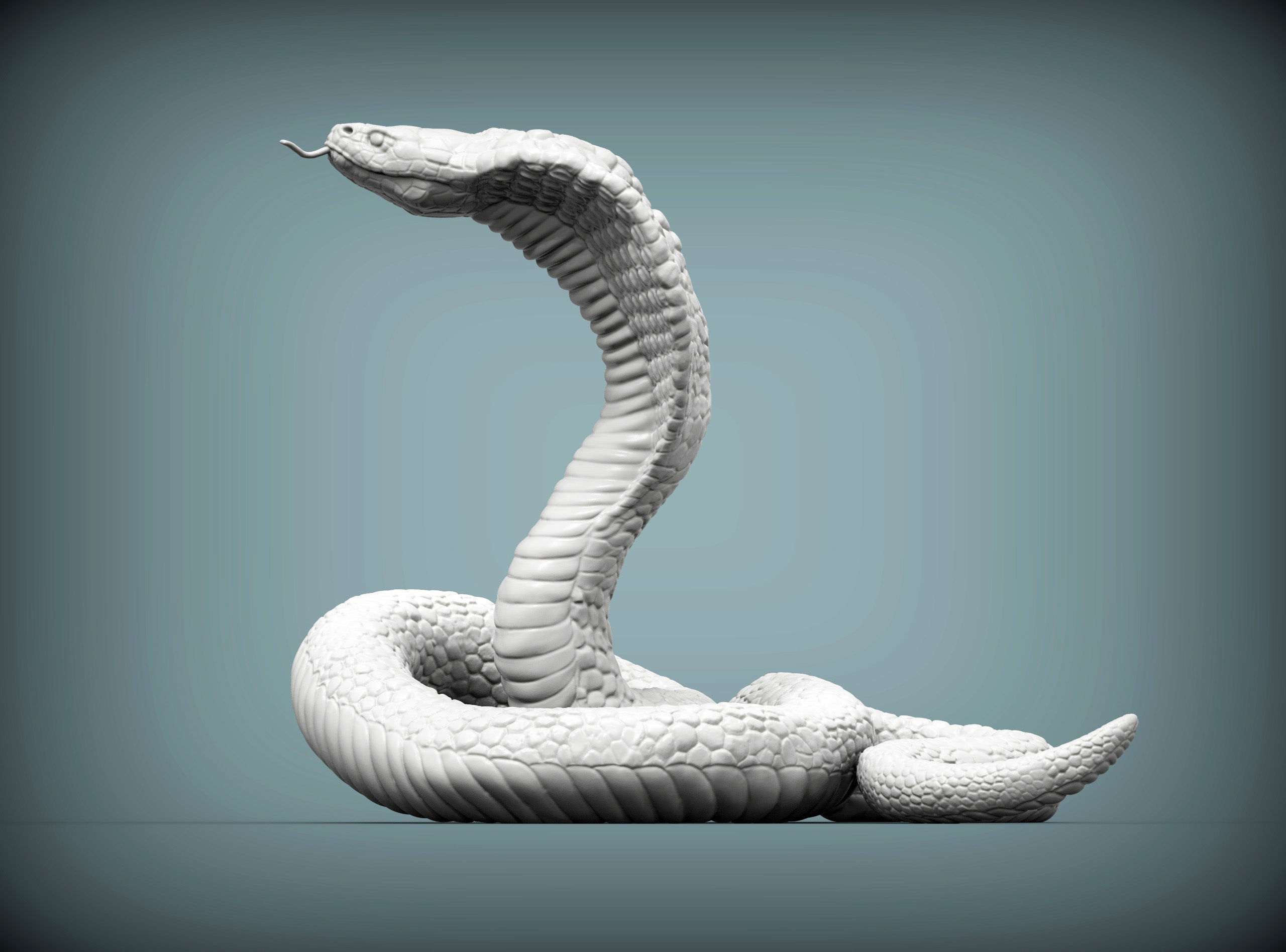 cobra 3D print model snake 3D print model_2