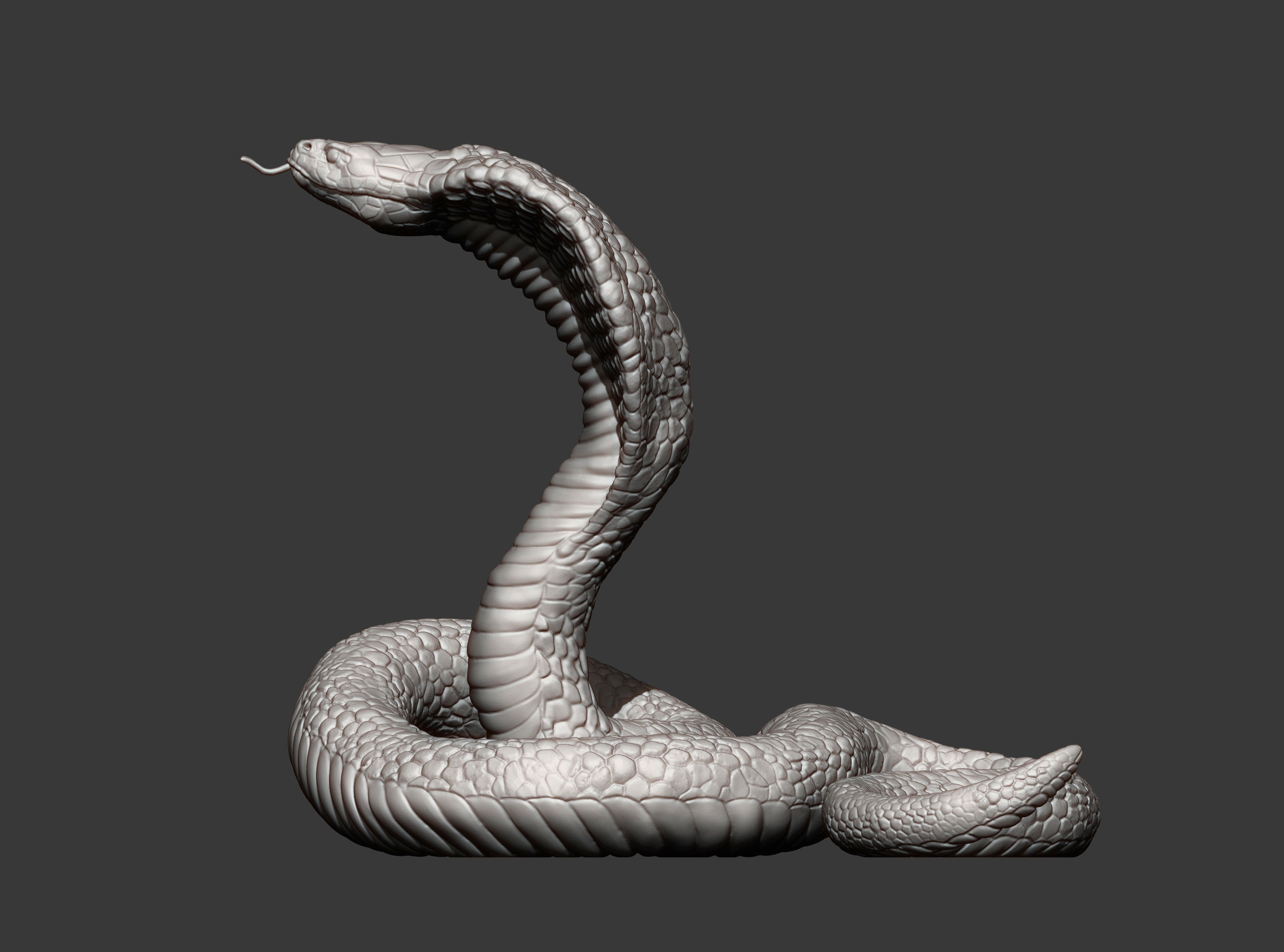 cobra 3D print model snake 3D print model_11