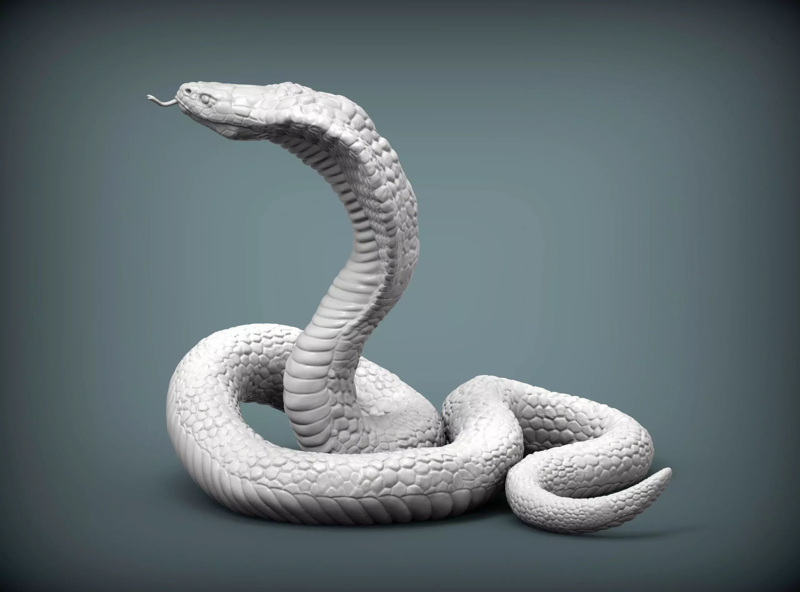 cobra 3D print model snake 3D print model_0