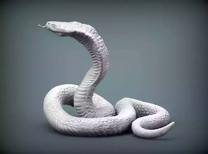 cobra 3D print model snake 3D print model cobra 3D print model snake 3D print model