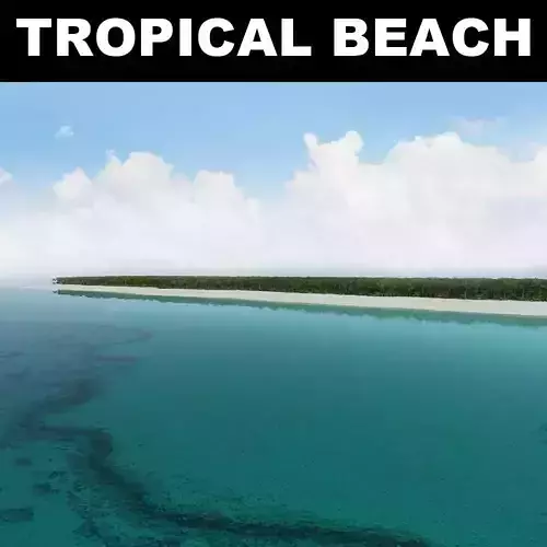 Tropical Beach