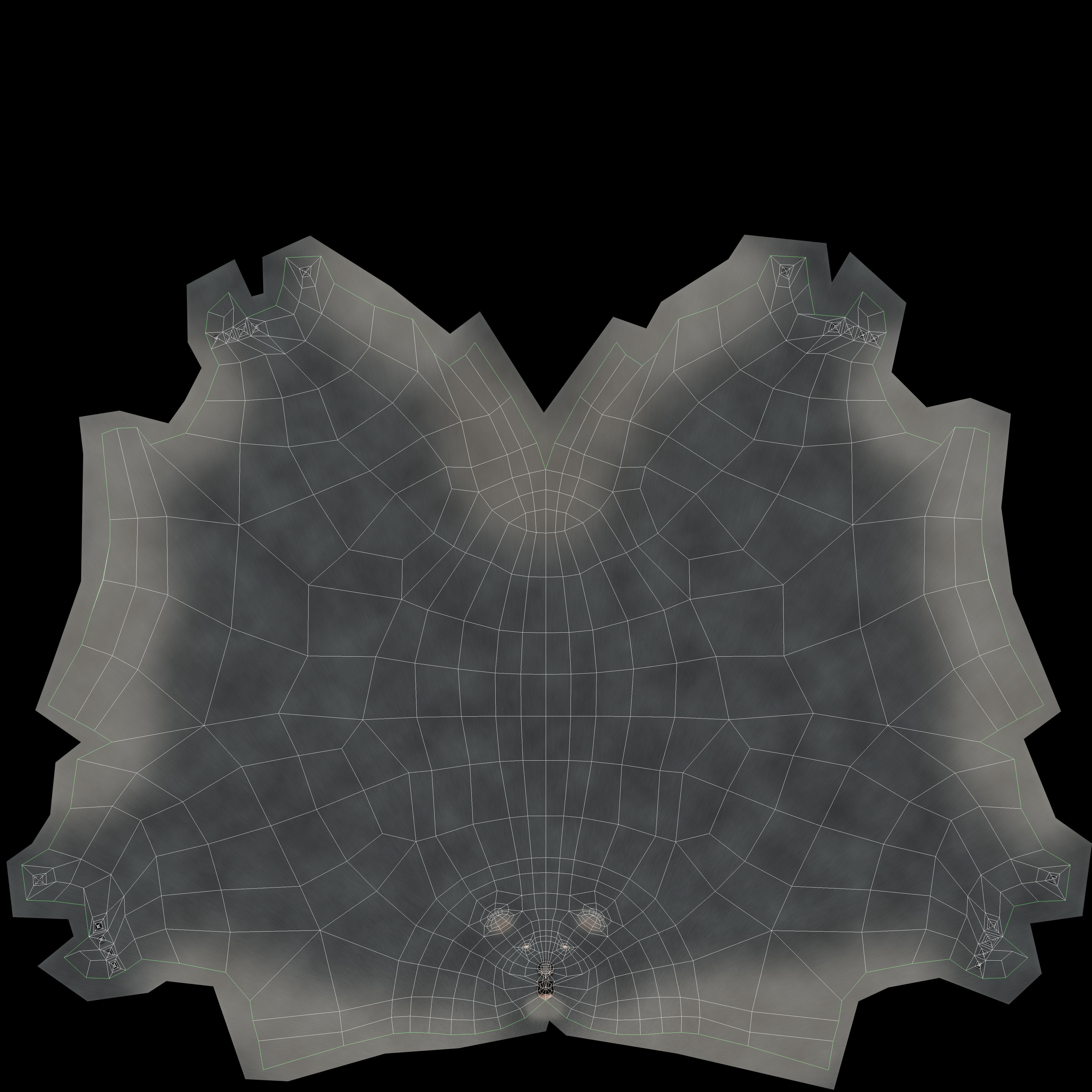 Koala High resolution Australian Animal Low-poly 3D model_11