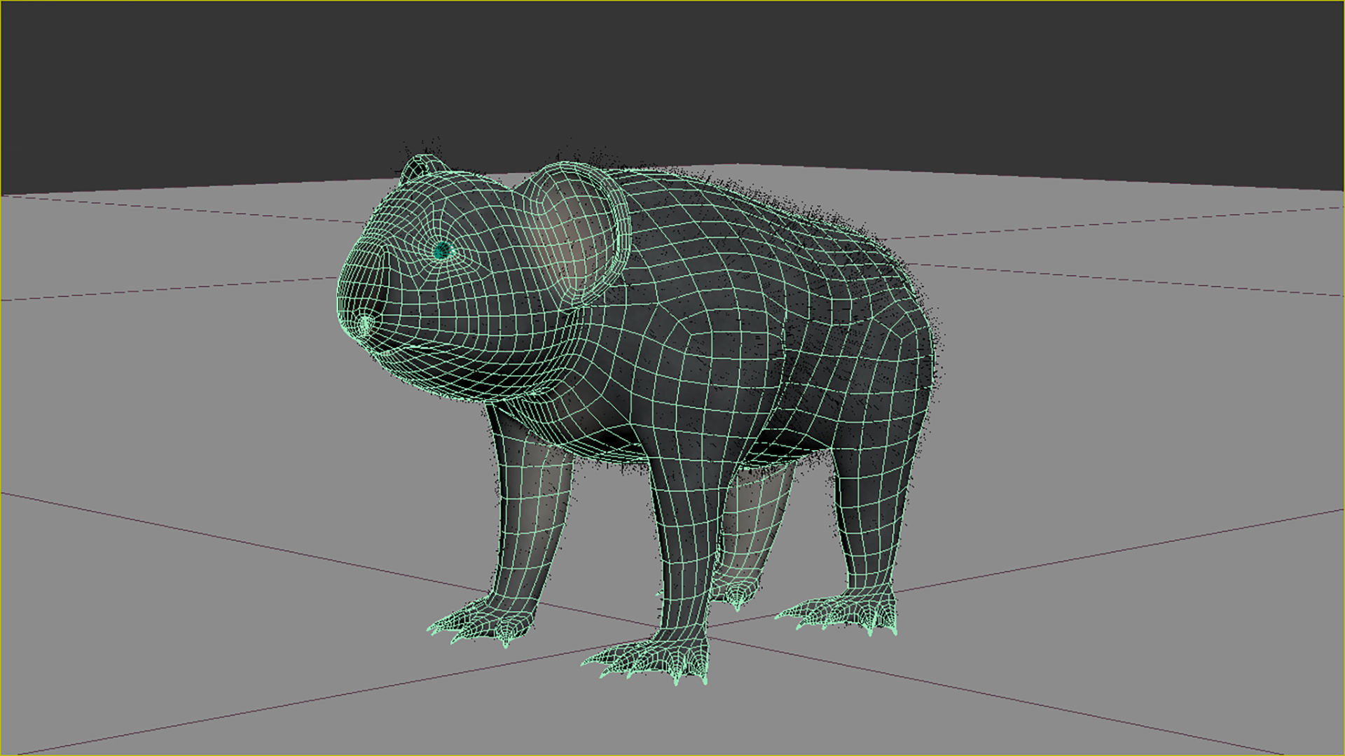Koala High resolution Australian Animal Low-poly 3D model_10