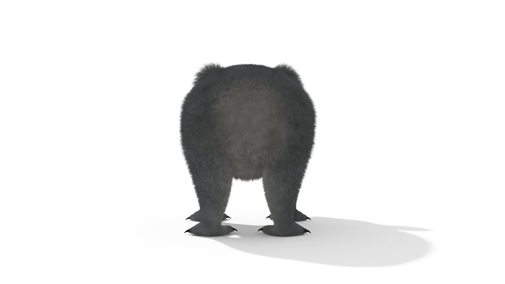 Koala High resolution Australian Animal Low-poly 3D model_5