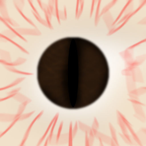 Koala High resolution Australian Animal Low-poly 3D model_7