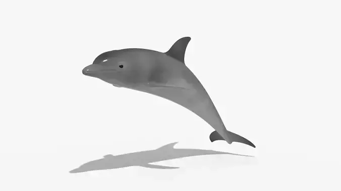 Dolphin sea ocean animal 3d model