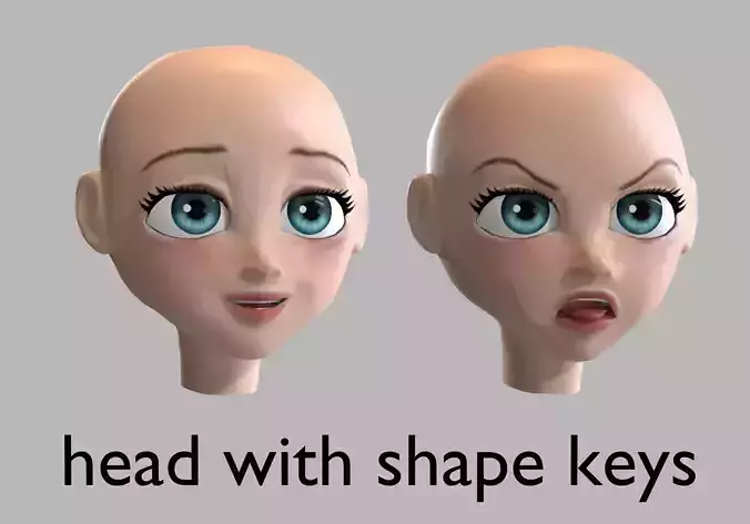 head with 13 shape keys