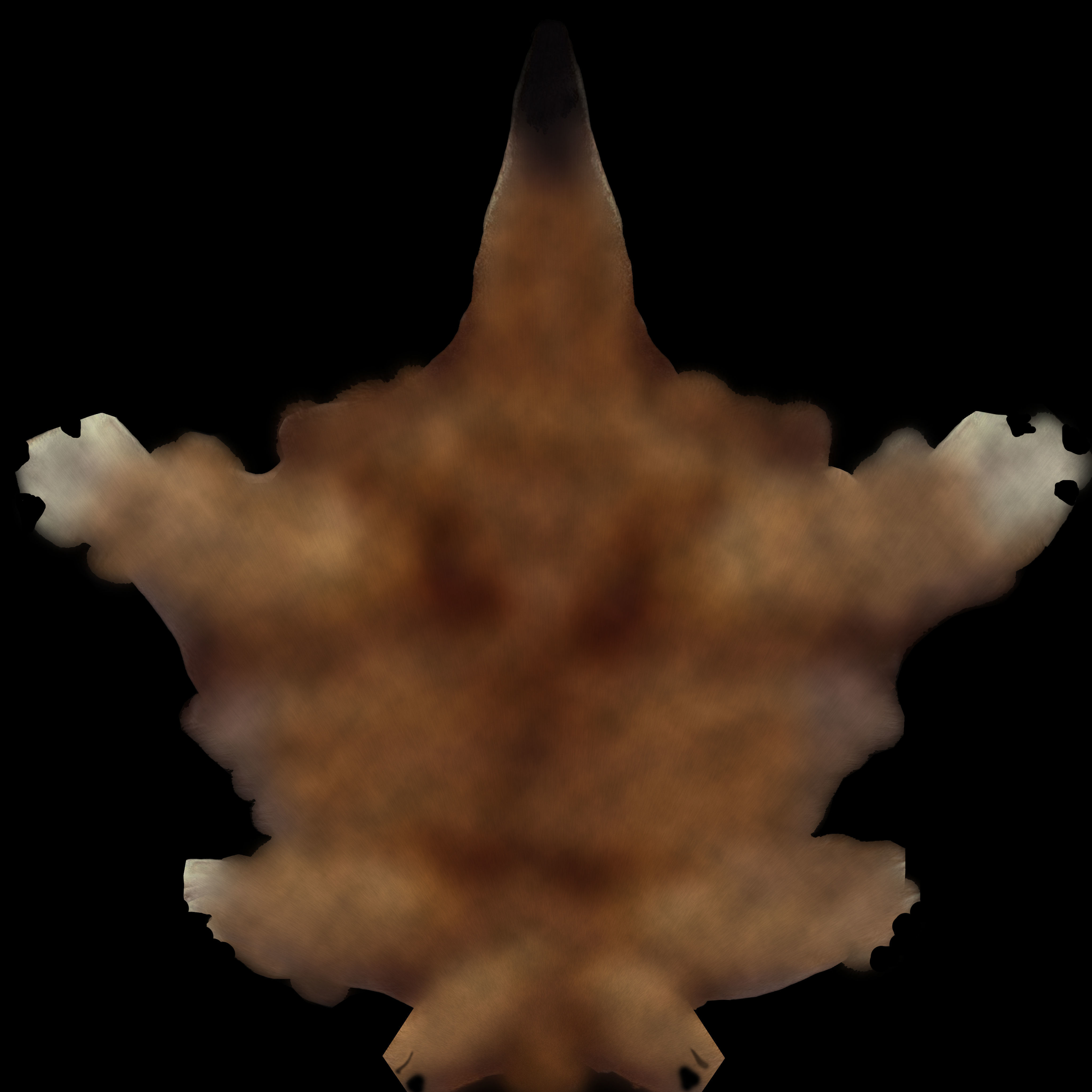 Kangaroo High Poly Australian Animal 3D model_7